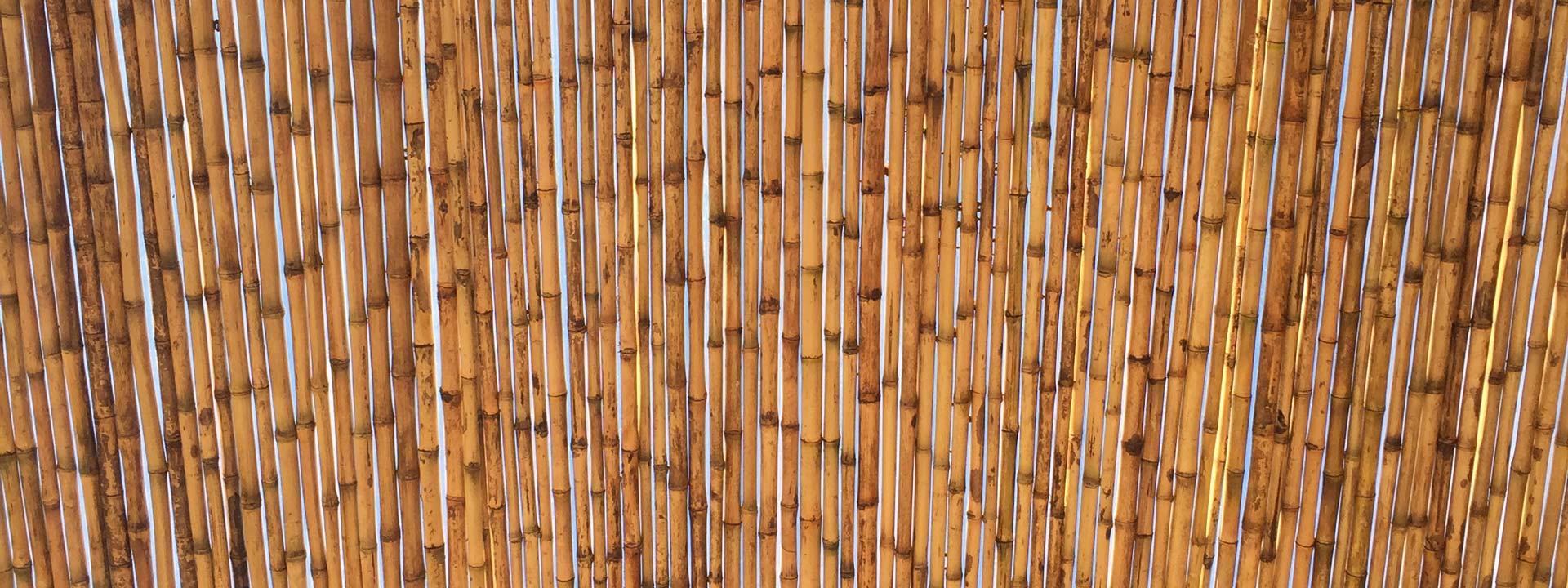 Arquitectura saludable y bioclimática en Curicó