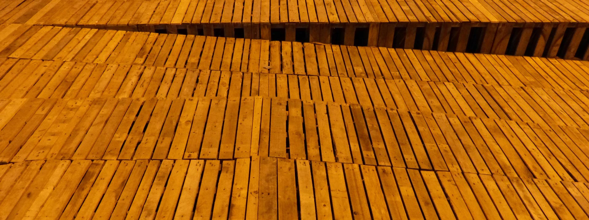 Proceso de constructividad en obra — diseño y construcción integrados — Tres9 Arquitectura Curicó