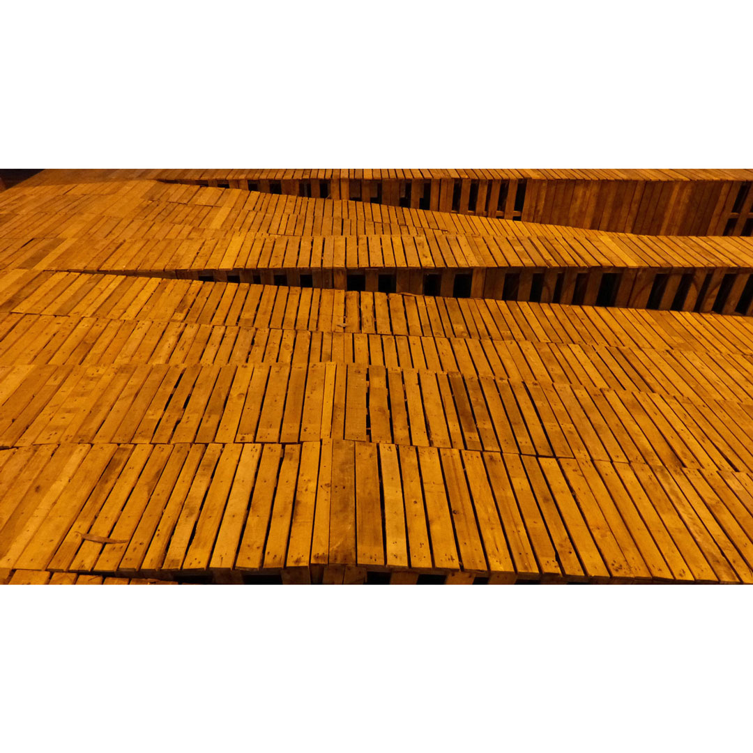 Una Plaza para Teno — Vista 14