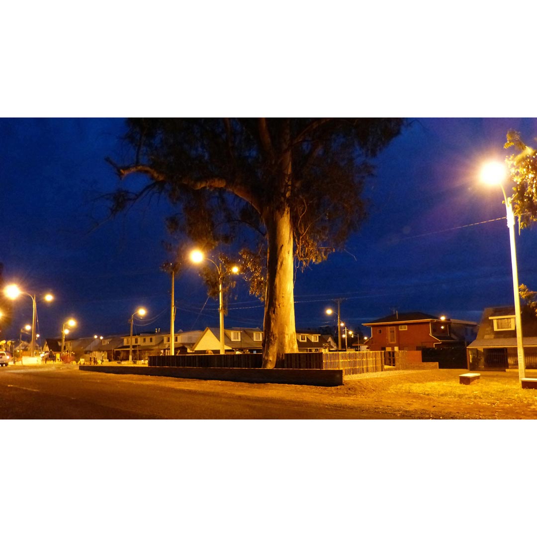 Una Plaza para Teno — Vista 16